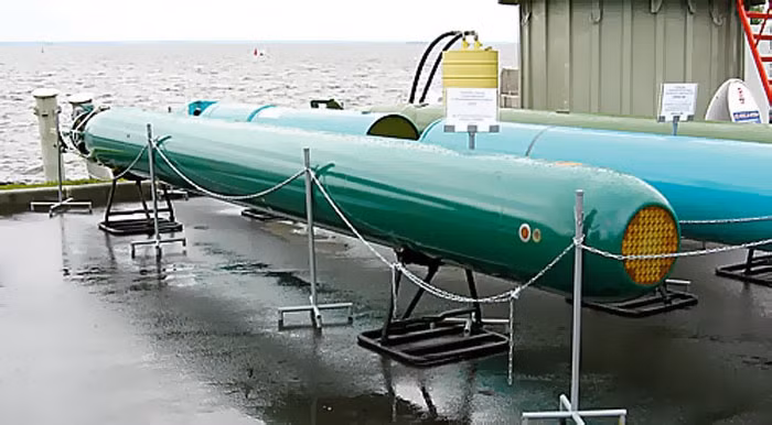 Ngư lôi chống ngầm tự dẫn độ sâu lơn UGST