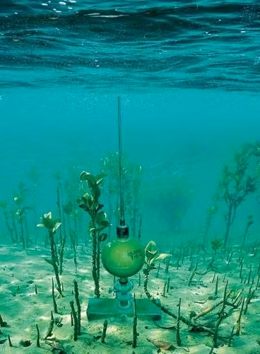 Mìn chống đổ bộ đáy biển.