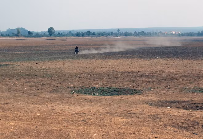 Tây Nguyên 'oằn' mình trong đại hạn lịch sử
