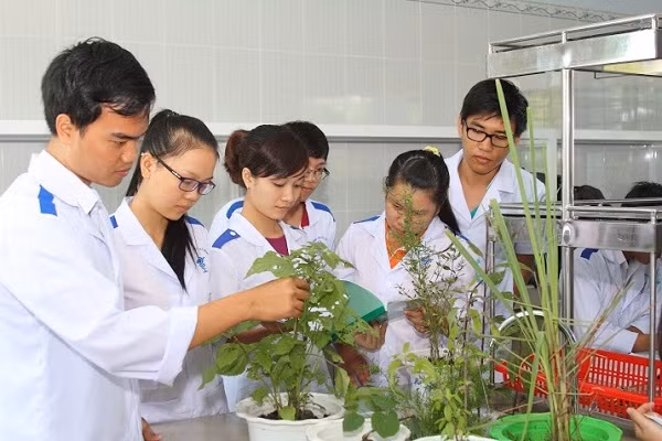 Công nghệ thông tin cho dạy học tích cực-(P2) 