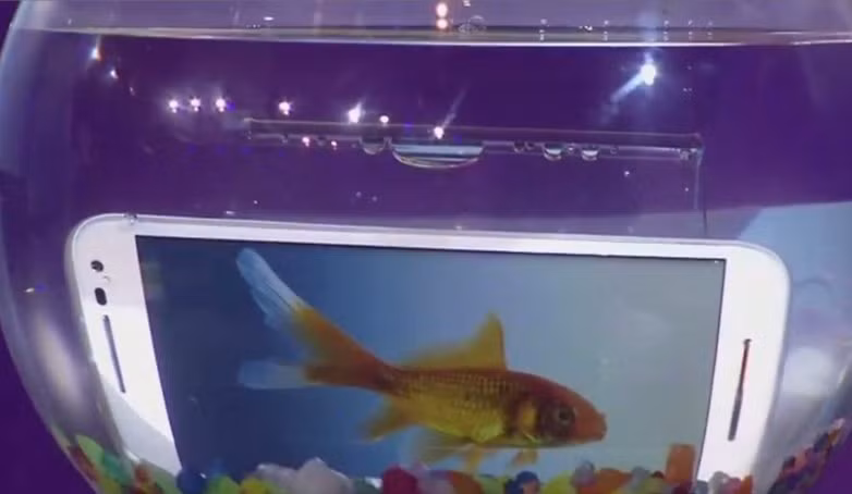 Không giống như cá, điện thoại dễ dàng bị hư hỏng khi rơi vào nước