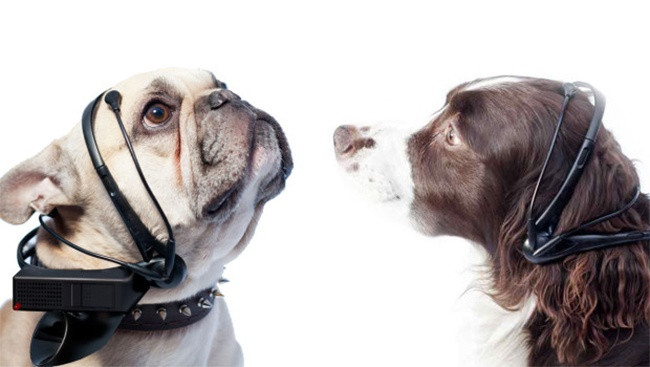 7 thiết bị công nghệ sẽ khiến bạn mắt tròn mắt dẹt ngạc nhiên ảnh 3