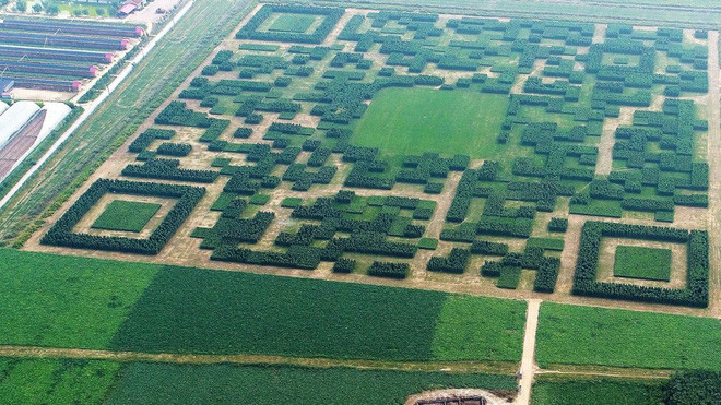 Ngôi làng Trung Quốc xây dựng hẳn công viên QR Code để thu hút khách du lịch ảnh 2 Ngôi làng Trung Quốc xây dựng hẳn công viên QR Code để thu hút khách du lịch ảnh 2