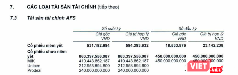 Các khoản đầu tư vào cổ phiếu chưa niêm yết của TCBS tại ngày 30/6/2021