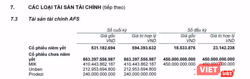 Các khoản đầu tư vào cổ phiếu chưa niêm yết của TCBS tại ngày 30/6/2021