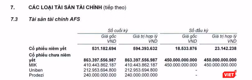 Các khoản đầu tư vào cổ phiếu chưa niêm yết của TCBS tại ngày 30/6/2021