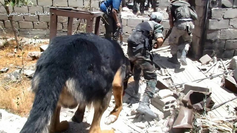 Chiến sự Syria: Vệ binh cộng hòa diệt hàng loạt phiến quân ở ngoại vi Damascus ảnh 9