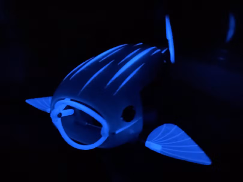 Cá robot có thể phát sáng vào ban đêm. Ảnh Interesting Engineering