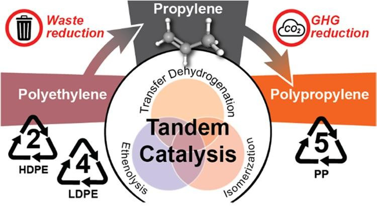 Quy trình chuyển hóa nhựa polyethylene thành nhựa polypropylene có thể tái chế. Ảnh ACS Publications Quy trình chuyển hóa nhựa polyethylene thành nhựa polypropylene có thể tái chế. Ảnh ACS Publications