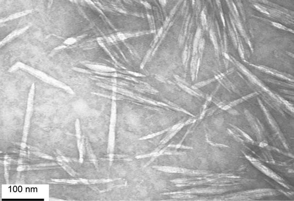 Các tinh thể nano cellulose phóng đại cao được chiết xuất từ thực vật. Ảnh Courtesy năm 2013 J. Vincent Edwards và cộng sự. Các tinh thể nano cellulose phóng đại cao được chiết xuất từ thực vật. Ảnh Courtesy năm 2013 J. Vincent Edwards và cộng sự.