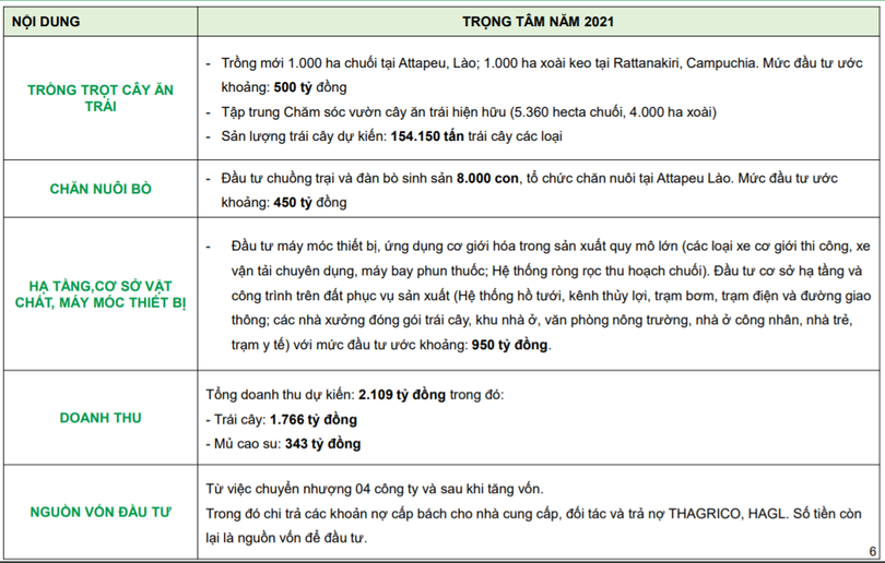 HNG lên kế hoạch doanh thu năm 2021 đạt 2.109 tỉ đồng