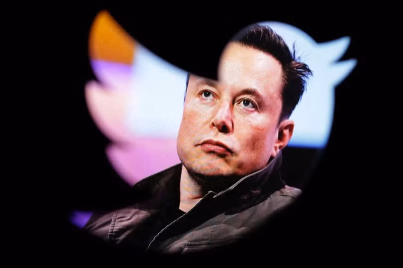 Twitter dưới 'triều đại' Elon Musk (Nguồn: Reuters) Twitter dưới 'triều đại' Elon Musk (Nguồn: Reuters)