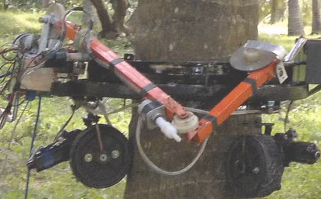 Ảnh robot trong thực tế