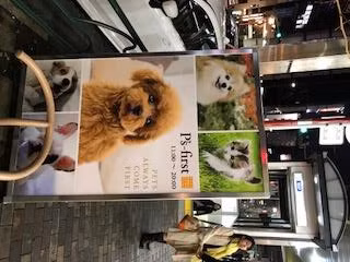 Thú cảnh được ưu tiên