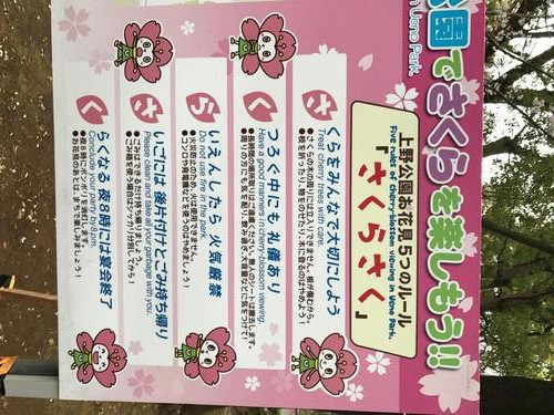 5 quy tắc ứng xử khi tham quan hoa anh đào nở trong công viên Ueno