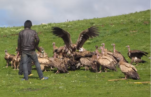 Tại một địa điểm thiên táng