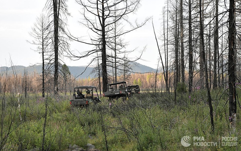 Tổng thống Putin lại cởi trần câu cá, bơi trên sông lạnh ảnh 10