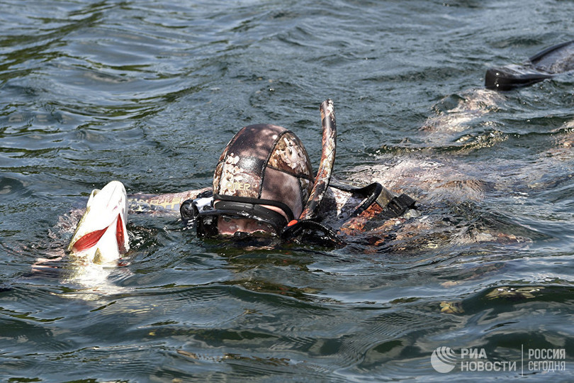 Tổng thống Putin lại cởi trần câu cá, bơi trên sông lạnh ảnh 15