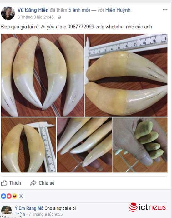 Răng động vật hoang dã được rao bán công khai trên nhiều trang cá nhân.