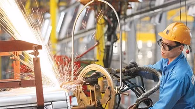 Ảnh minh họa (Nguồn: Internet)