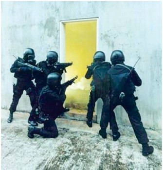 Bí mật lực lượng đặc nhiệm Indonesia KOPASSUS ảnh 3