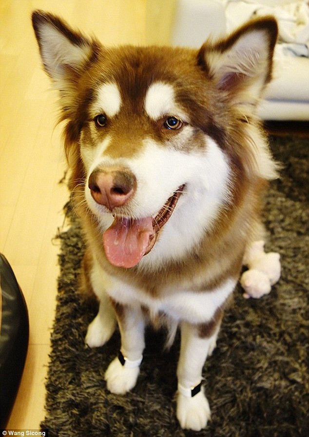 Giới siêu giàu Trung Quốc: Đua nhau tiệc sex và ăn chơi quái gở ảnh 17