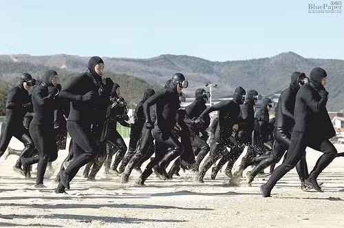 Những lực lượng uy mãnh của hải quân Hàn Quốc ảnh 4