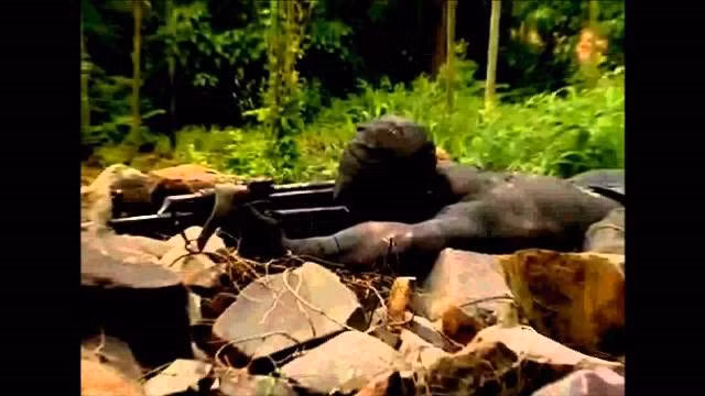 Đặc công Tây Bán cầu - Lực lượng đặc nhiệm Ó đen Cuba ảnh 7 Đặc công Tây Bán cầu - Lực lượng đặc nhiệm Ó đen Cuba ảnh 7