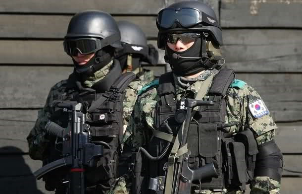 Những lực lượng uy mãnh của hải quân Hàn Quốc ảnh 7 Những lực lượng uy mãnh của hải quân Hàn Quốc ảnh 7