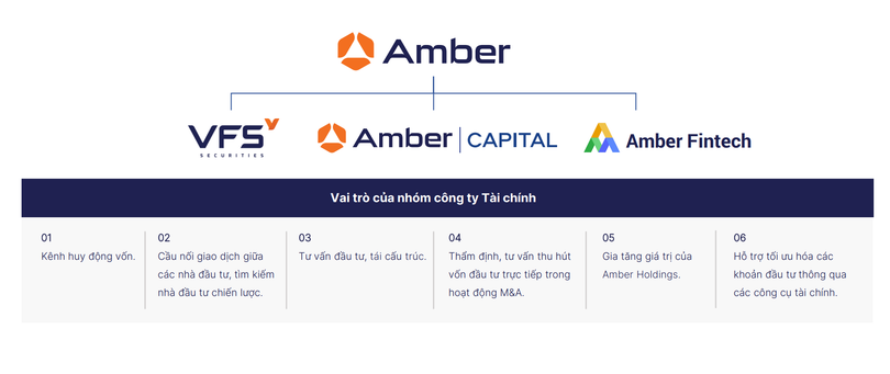 Amber Holdings 2.png