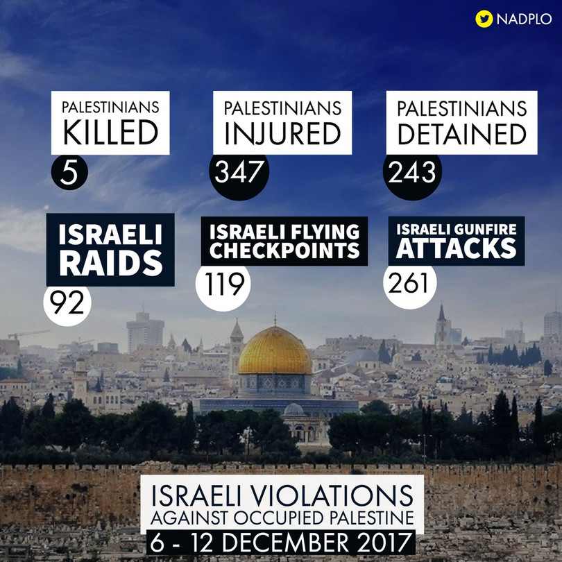 Hơn 50 người Palestine bị thương trong các cuộc biểu tình chống Israel ảnh 1