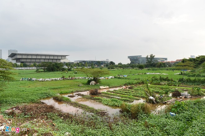 Dự án xây dựng siêu khách sạn Lotus của đại gia Đặng Thành Tâm trên khu đất vàng giữa thủ đô đã treo 4 năm, hiện được nhiều hộ dân mượn đất trồng rau, tăng gia thu nhập. Ảnh:Tiến Tuấn.