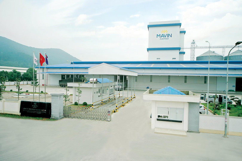 Một nhà máy của Mavin Group tại Nghệ An Một nhà máy của Mavin Group tại Nghệ An