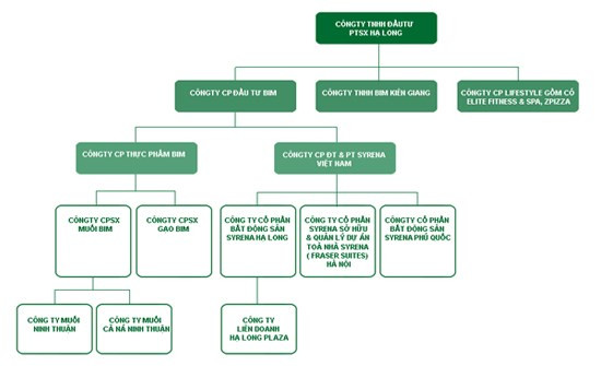 Cơ cấu tổ chức BIM Group