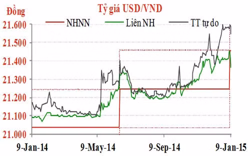 Diễn biến tỷ giá USD/VND trong một năm qua - Nguồn: TNG Holdings Việt Nam.