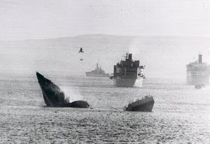 Dính bom của một chiếc Skyhawk của Argentina, chiếc frigate HMS Antelope (F170) của Anh gãy đôi và chìm xuống biển. Ảnh: Hải quân Anh