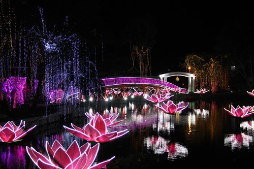 Đại gia tỉnh lẻ thuê Đàm Vĩnh Hưng, chi 14 tỉ đồng làm đám cưới con gái ảnh 1 Đại gia tỉnh lẻ thuê Đàm Vĩnh Hưng, chi 14 tỉ đồng làm đám cưới con gái ảnh 1