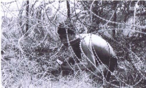 Cắt hàng rào dây thép gai.