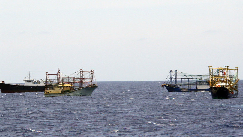 Tàu cá Trung Quốc liên tục xâm phạm chủ quyền của Việt Nam để đánh bắt hải sản trái phép - Ảnh: Hữu Khá