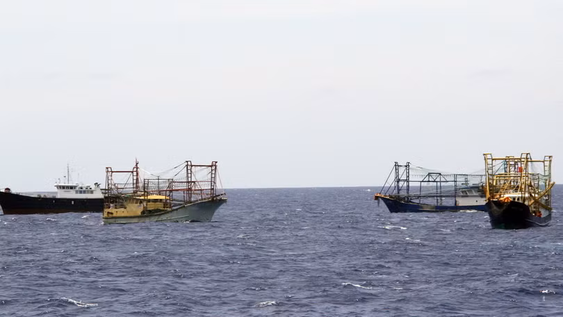 Tàu cá Trung Quốc liên tục xâm phạm chủ quyền của Việt Nam để đánh bắt hải sản trái phép - Ảnh: Hữu Khá Tàu cá Trung Quốc liên tục xâm phạm chủ quyền của Việt Nam để đánh bắt hải sản trái phép - Ảnh: Hữu Khá