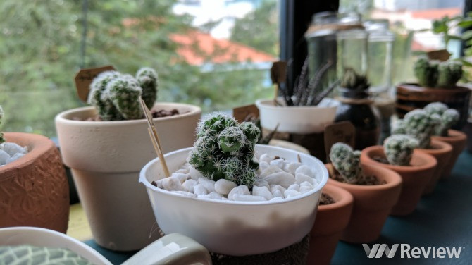 Trải nghiệm nhanh Google Pixel tại Việt Nam: Điểm nhấn HDR+ ảnh 22 Trải nghiệm nhanh Google Pixel tại Việt Nam: Điểm nhấn HDR+ ảnh 22