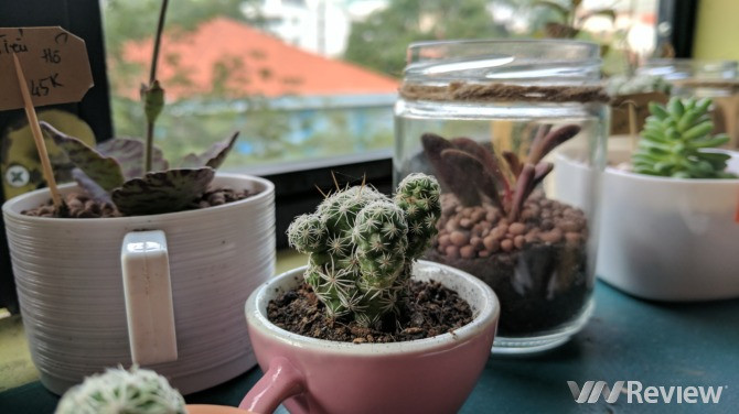 Trải nghiệm nhanh Google Pixel tại Việt Nam: Điểm nhấn HDR+ ảnh 21 Trải nghiệm nhanh Google Pixel tại Việt Nam: Điểm nhấn HDR+ ảnh 21