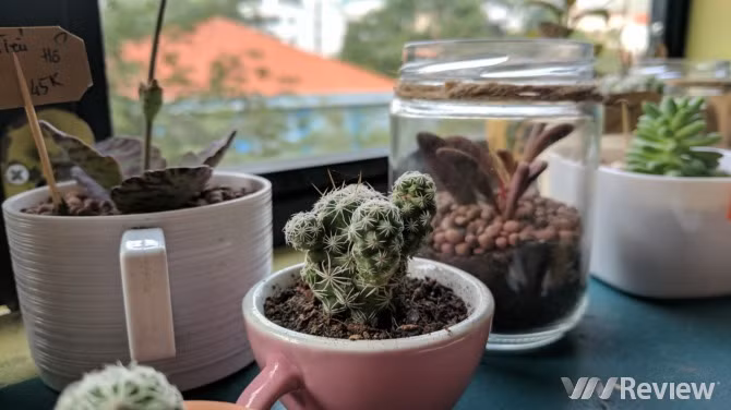 Trải nghiệm nhanh Google Pixel tại Việt Nam: Điểm nhấn HDR+ ảnh 21