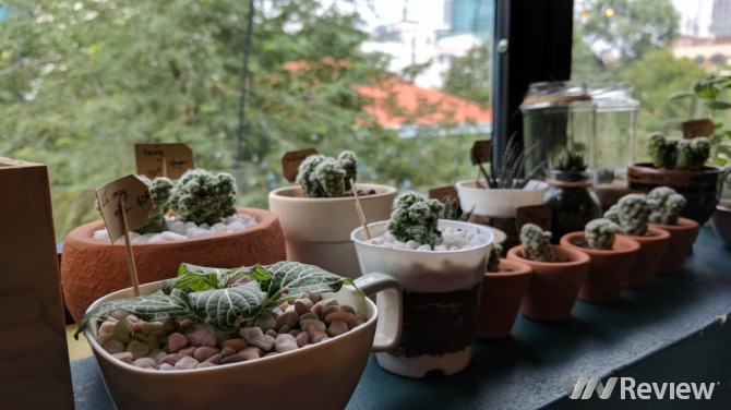 Trải nghiệm nhanh Google Pixel tại Việt Nam: Điểm nhấn HDR+ ảnh 20 Trải nghiệm nhanh Google Pixel tại Việt Nam: Điểm nhấn HDR+ ảnh 20