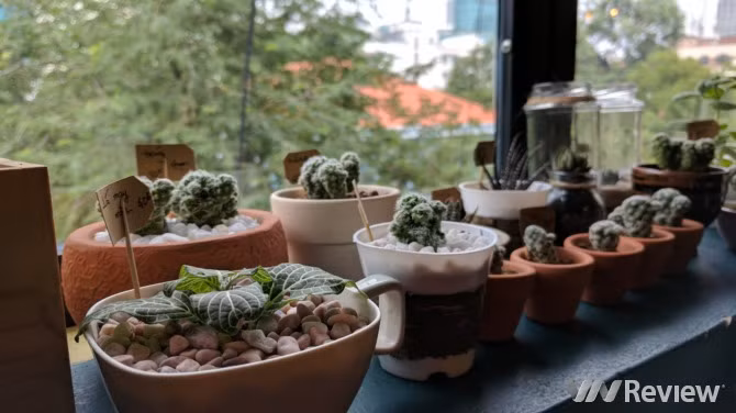 Trải nghiệm nhanh Google Pixel tại Việt Nam: Điểm nhấn HDR+ ảnh 20