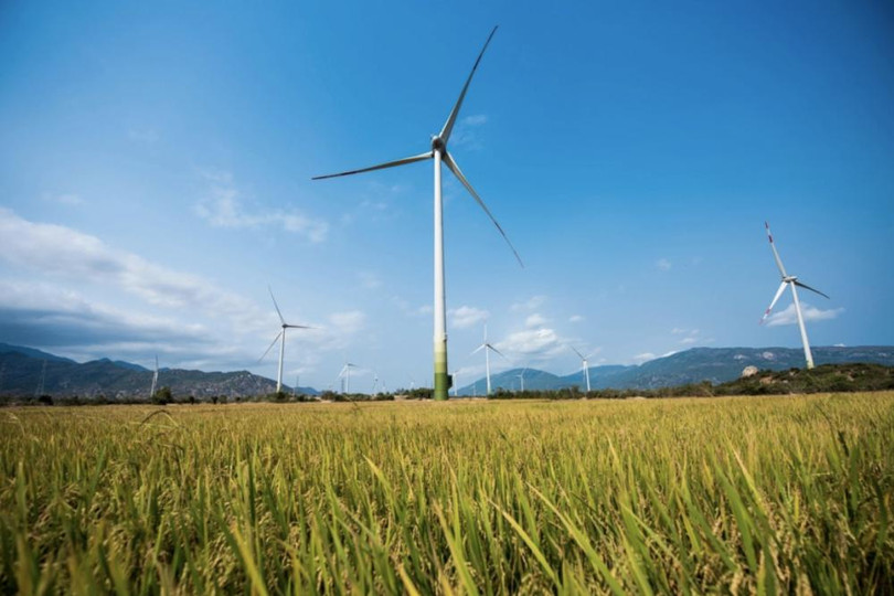 PTC có tham vọng lớn trong lĩnh vực điện gió. Ảnh: Internet