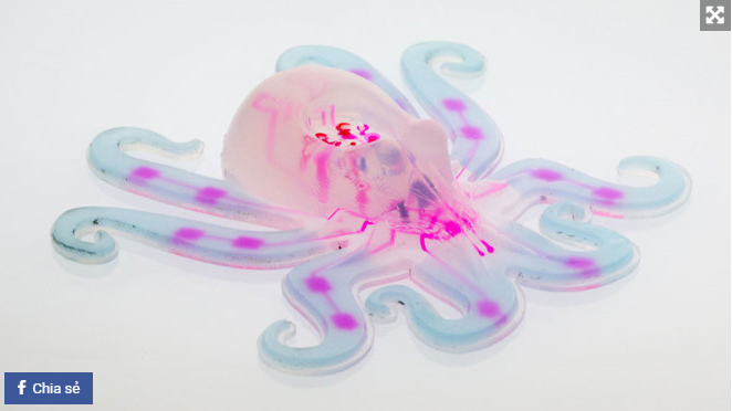 Robot Bạch tuộc (Octobot)