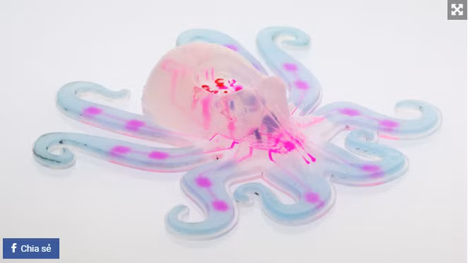 Robot Bạch tuộc (Octobot)