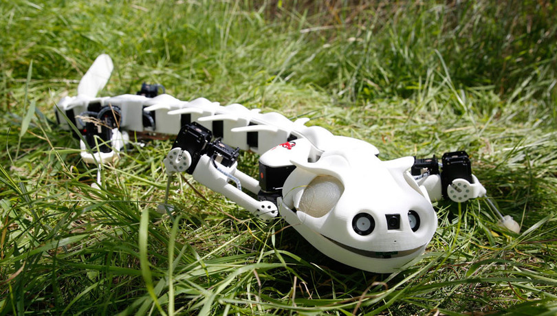 7 robot lấy cảm hứng từ động vật 1
