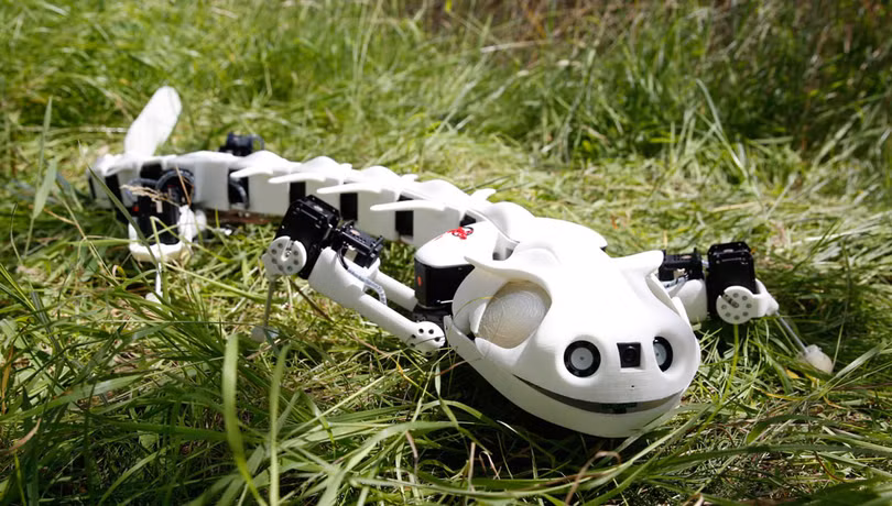 7 robot lấy cảm hứng từ động vật 1